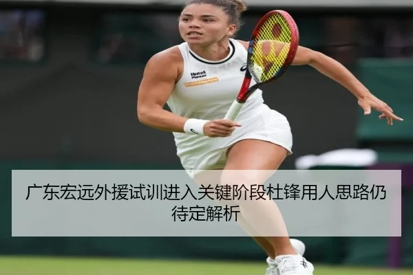 广东宏远外援试训进入关键阶段杜锋用人思路仍待定解析（MangoSport）